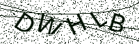 L’image captcha